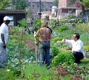 In the Yale garden