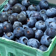 SFS Blueberries